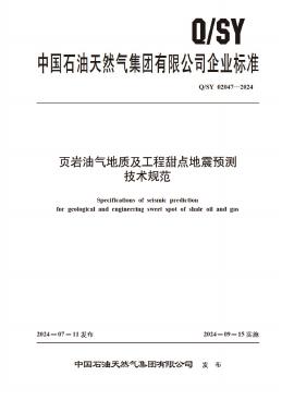 Q/SY 02047-2024 标准预览