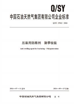 Q/SY 17013-2024 标准预览