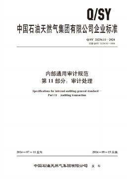 Q/SY 21254.11-2024 标准预览
