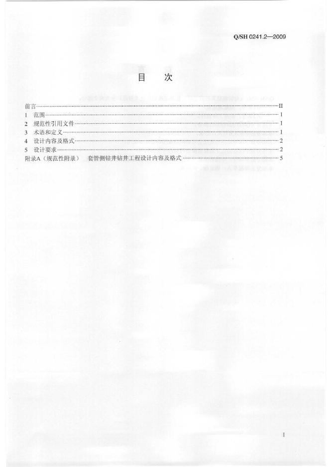 Q/SH 0241.2-2009 标准预览