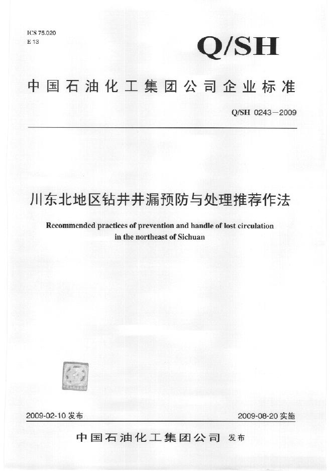 Q/SH 0243-2009 标准预览