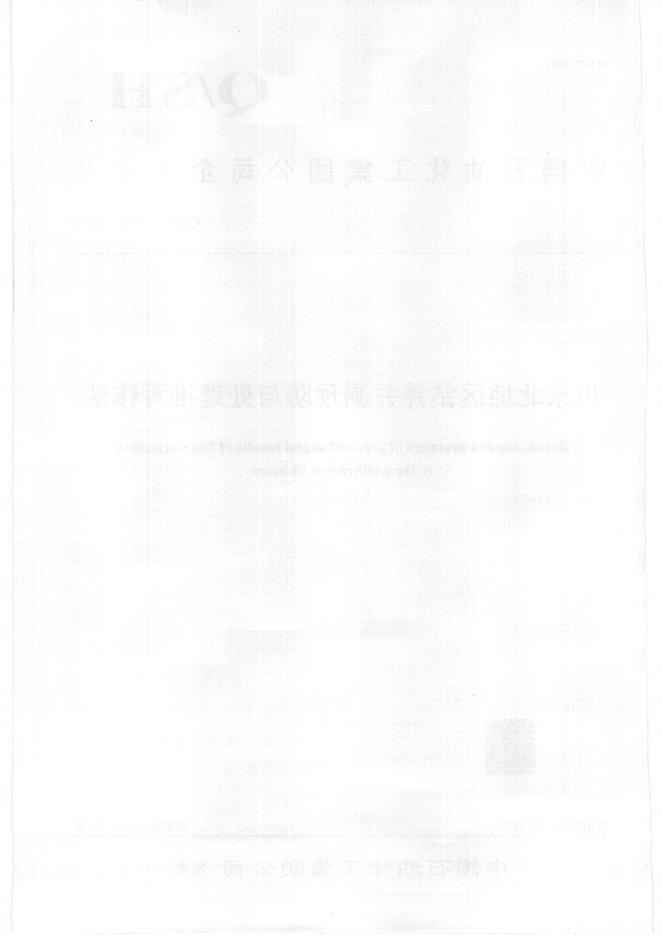 Q/SH 0243-2009 标准预览