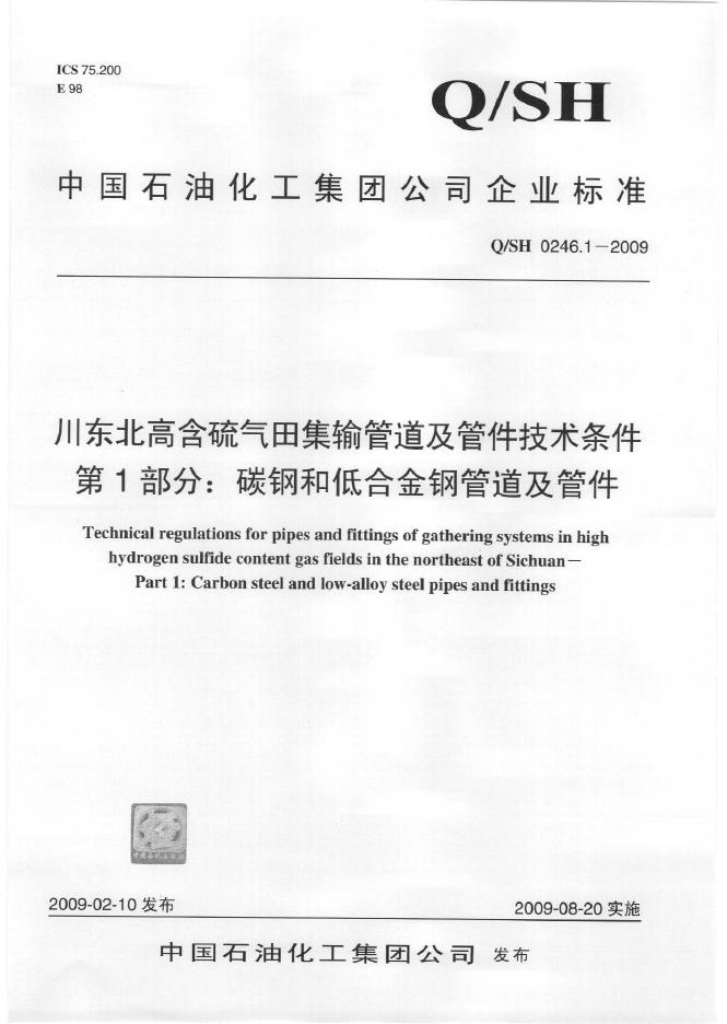 Q/SH 0246.1-2009 标准预览