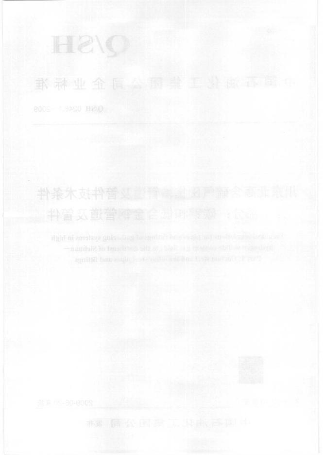 Q/SH 0246.1-2009 标准预览