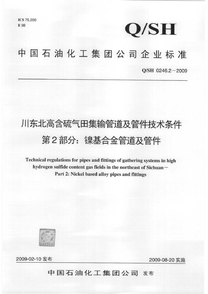 Q/SH 0246.2-2009 标准预览