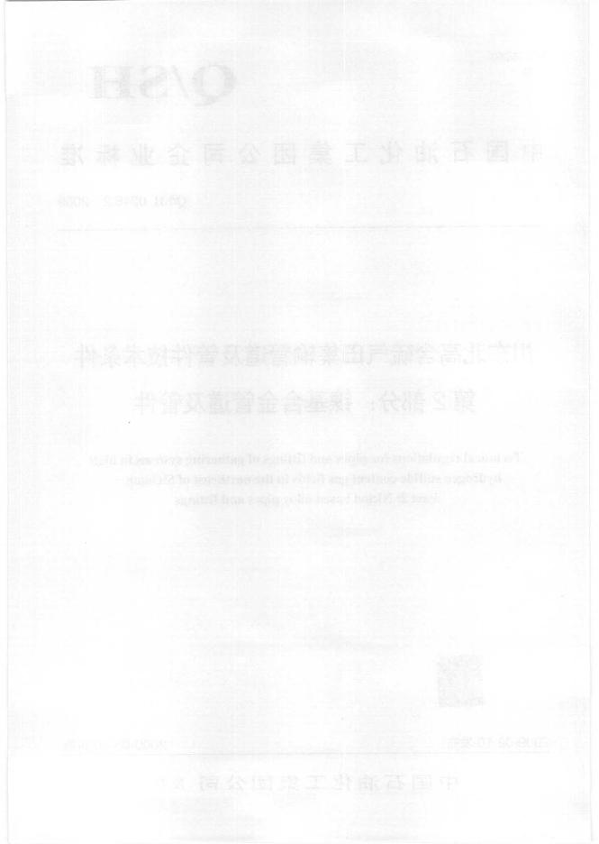 Q/SH 0246.2-2009 标准预览