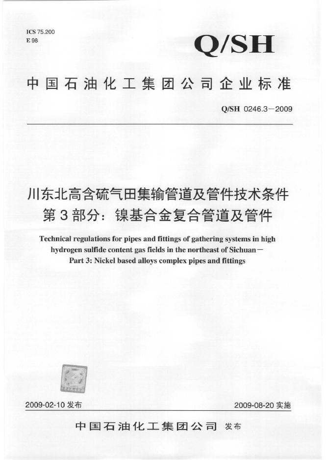 Q/SH 0246.3-2009 标准预览