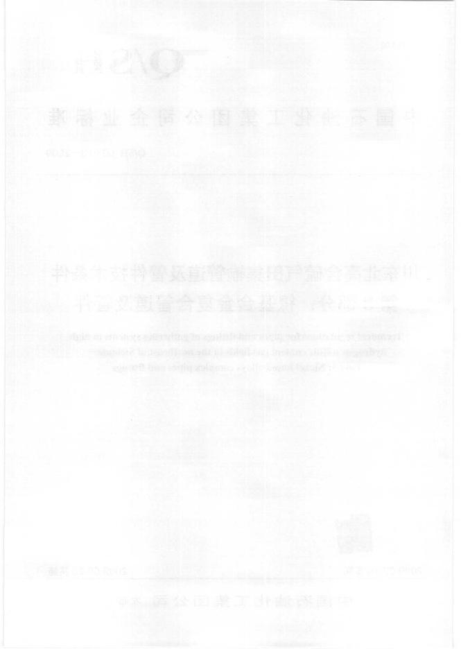 Q/SH 0246.3-2009 标准预览