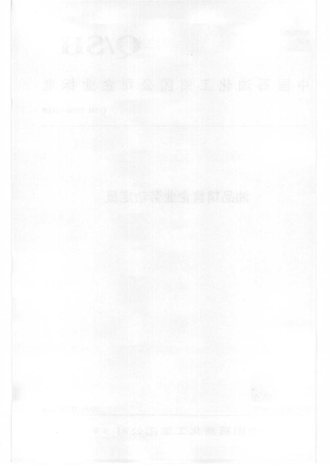 Q/SH 0256-2009 标准预览