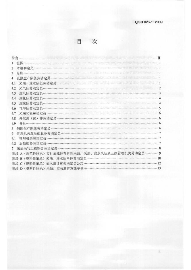 Q/SH 0262-2009 标准预览