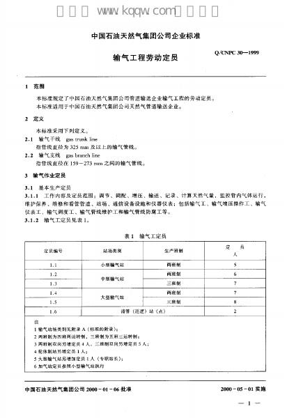Q/CNPC 30-1999 标准预览