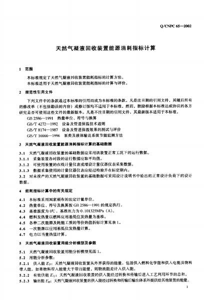 Q/CNPC 65-2002 标准预览
