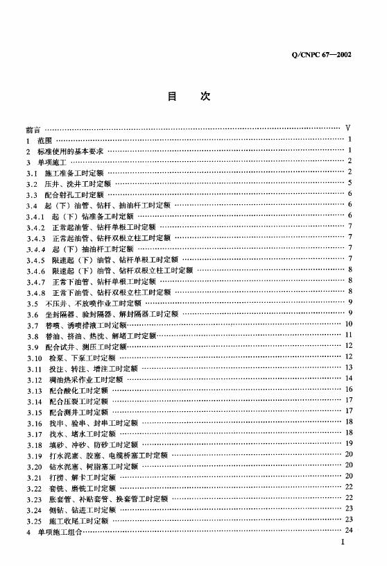 Q/CNPC 67-2002 标准预览