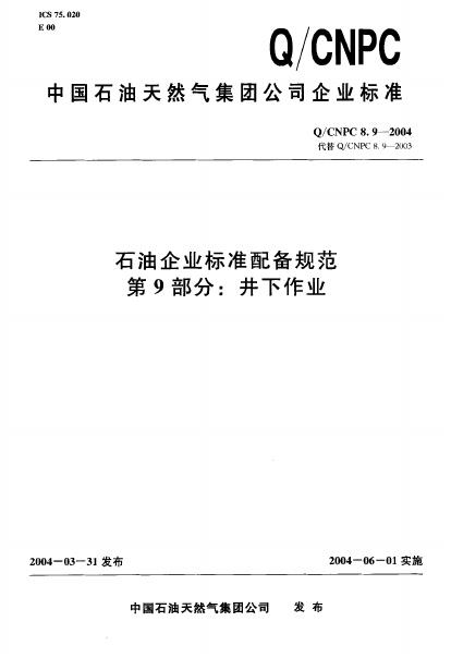 Q/CNPC 8.9-2004 石油企业标准配备规范 第9部分：井下作业