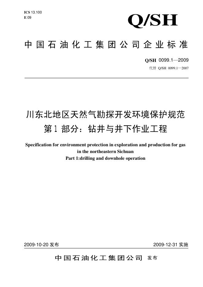 Q/SH 0099.1-2009 标准预览