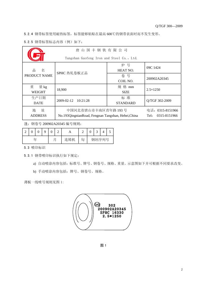 Q/TGF 300-2009 标准预览
