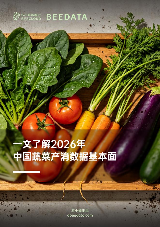 农小蜂数智云：一文了解2026年中国蔬菜产消数据基本面海报