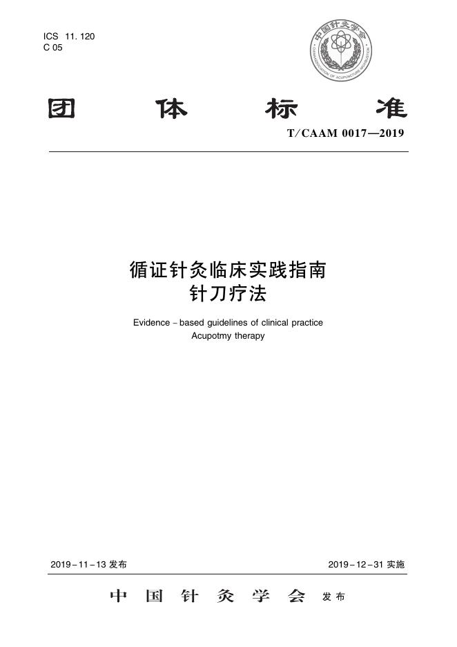 T/CAAM 0017-2019 标准预览