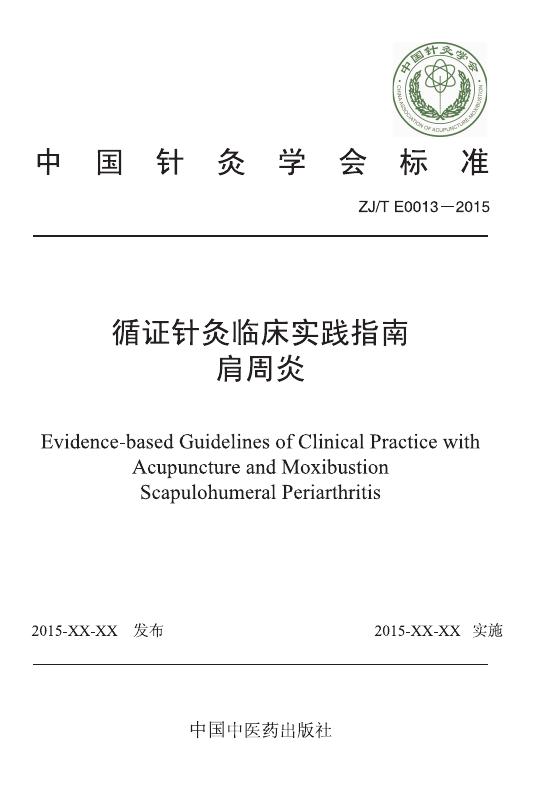 T/CAAM 013-2015 标准预览