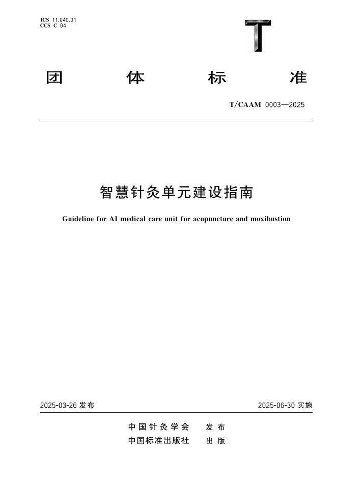 T/CAAM 0003-2025 标准预览