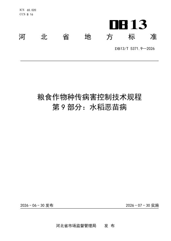 DB13/T 5371.9-2026 标准预览