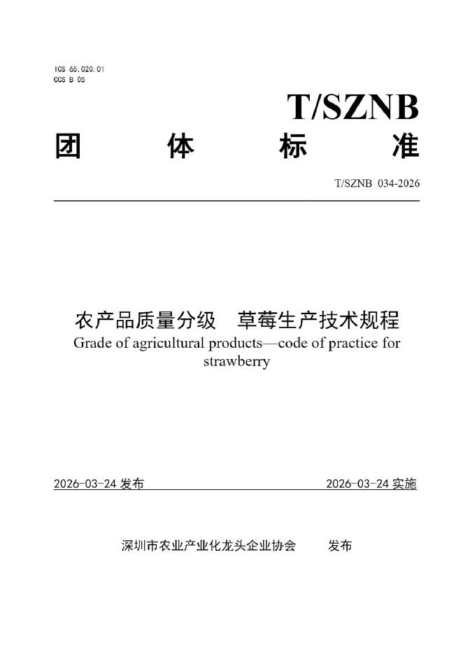 T/SZNB 034-2026 标准预览