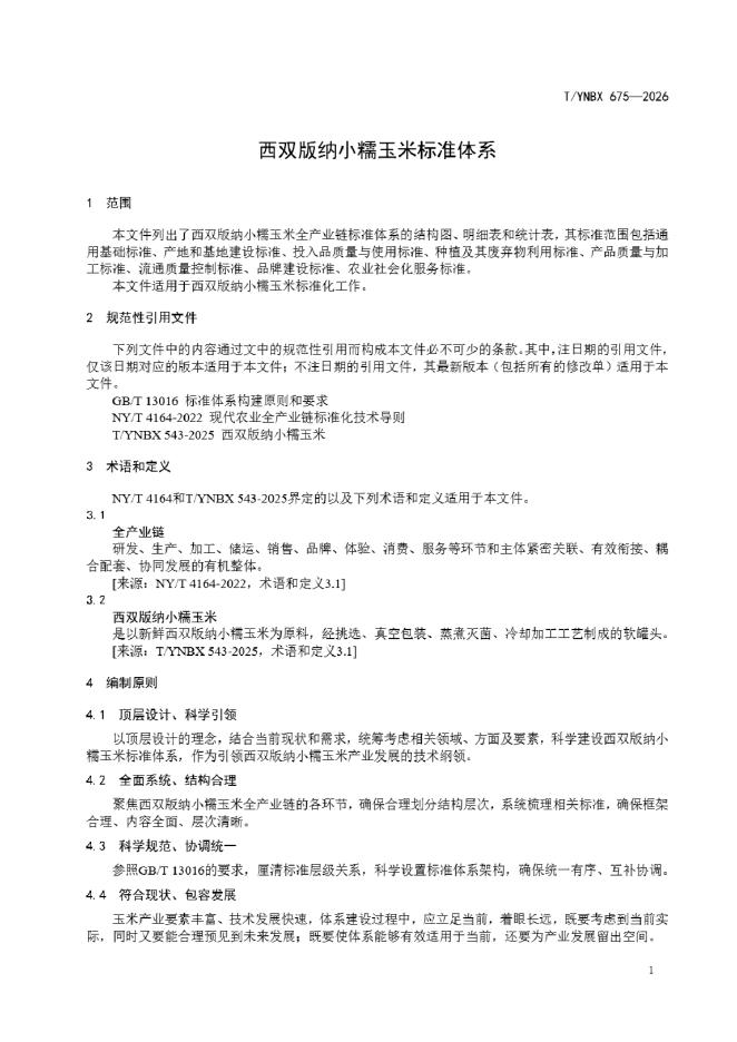 T/YNBX 675-2026 标准预览