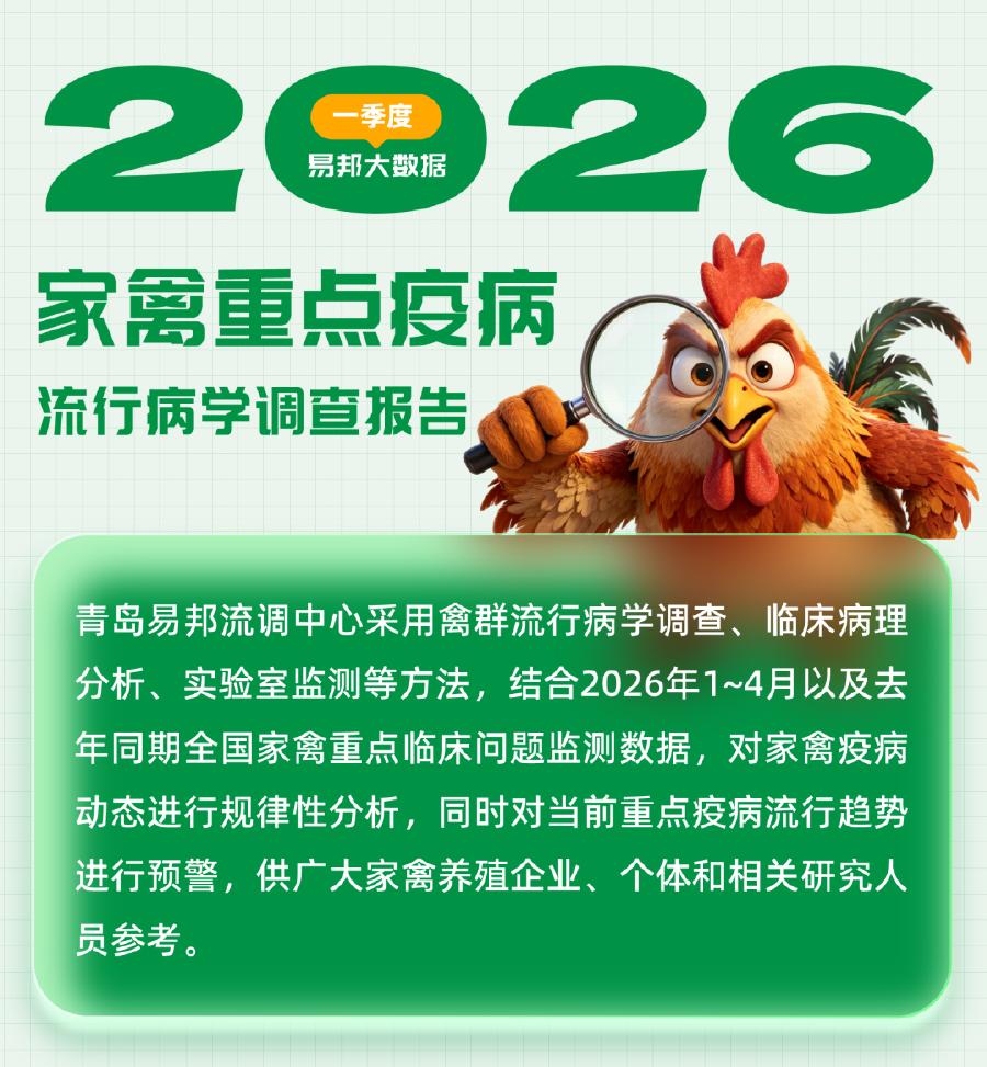 易邦大数据：2026年一季度家禽重点疫病流行病学调查报告海报