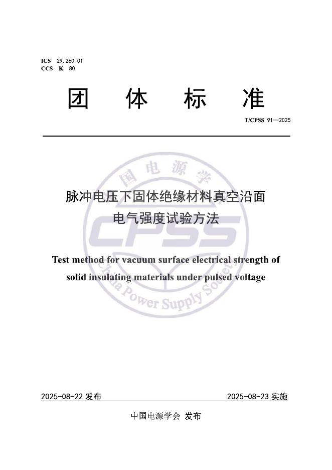 T/CPSS 91-2025 标准预览