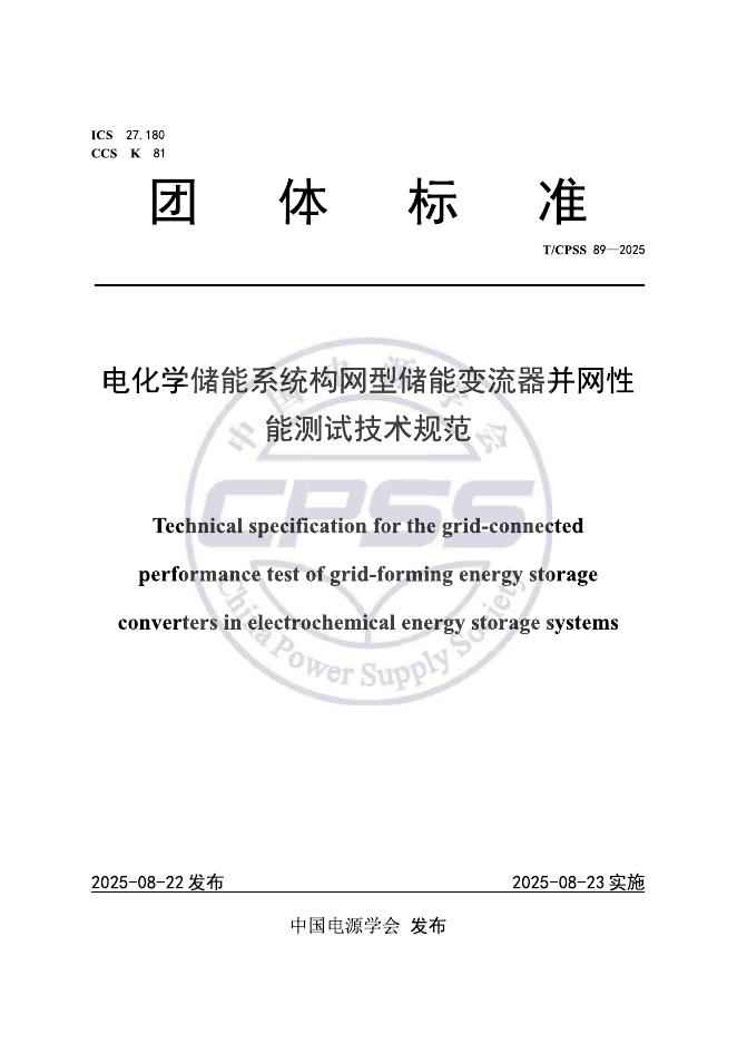 T/CPSS 89-2025 标准预览
