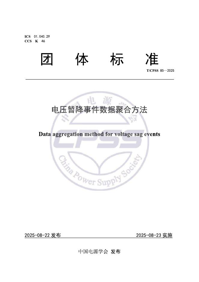 T/CPSS 85-2025 标准预览