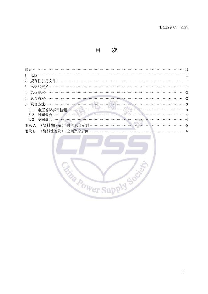 T/CPSS 85-2025 标准预览