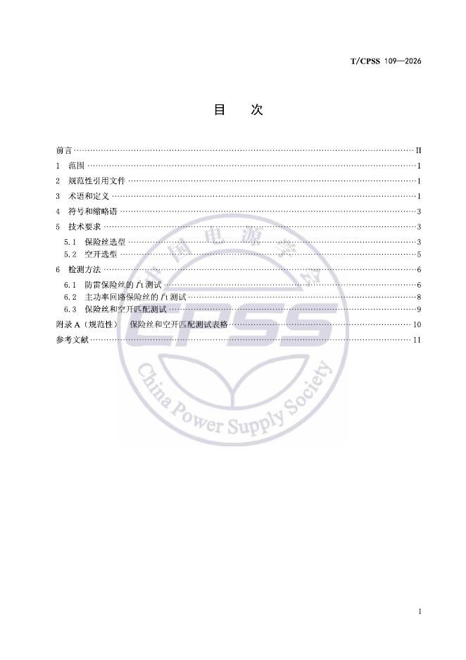 T/CPSS 109-2026 标准预览