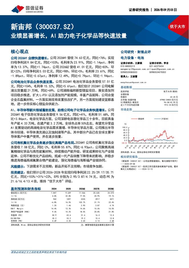 国信证券：新宙邦（300037）-业绩显著增长，AI助力电子化学品等快速放量海报