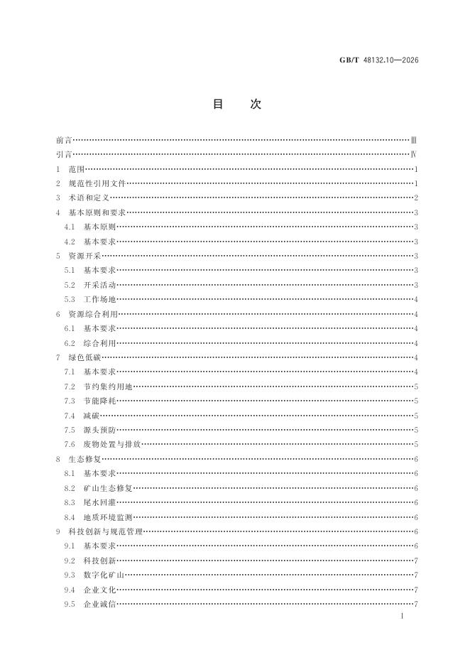 GB/T 48132.10-2026 标准预览
