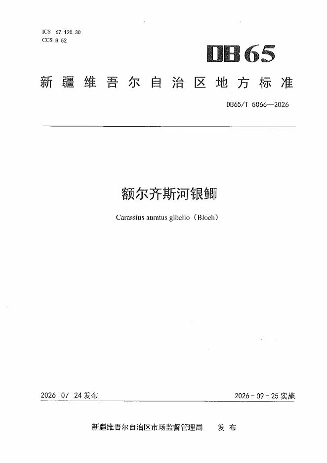 DB65/T 5066-2026 标准预览