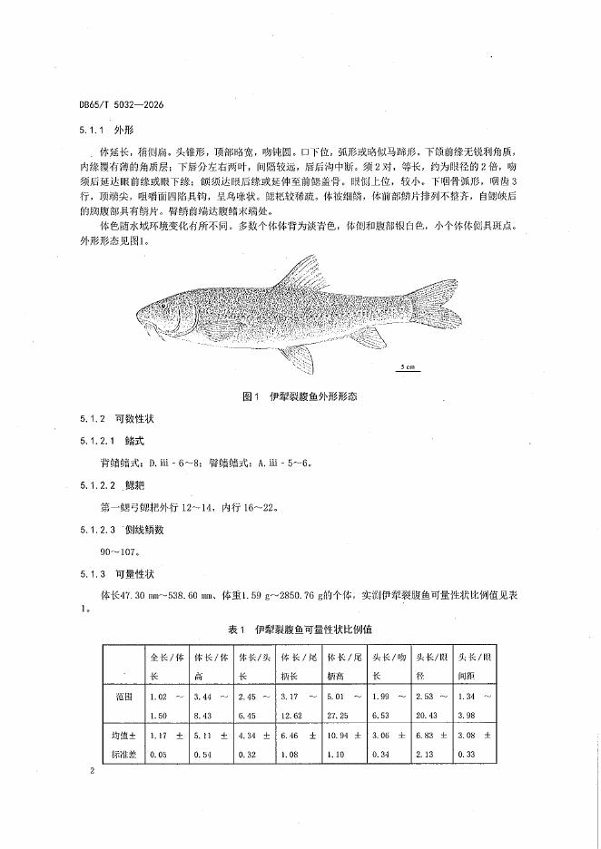 DB65/T 5032-2026 标准预览