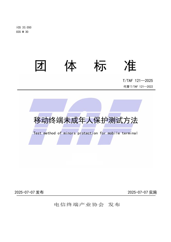T/TAF 121-2025 标准预览