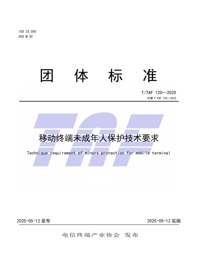 T/TAF 120-2025 标准预览