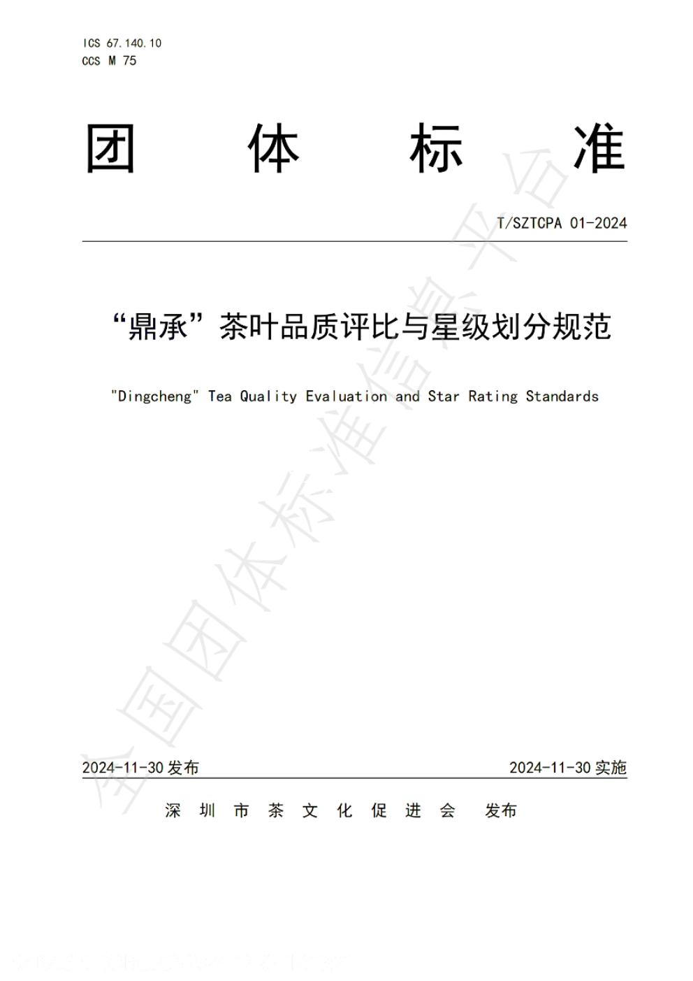 T/SZTCPA 01-2024 标准预览