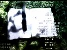 青涩文学系列视频