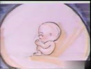 宝宝胎教大全视频全集
