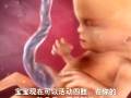 宝宝中心孕期视频