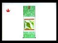 字画装裱视频