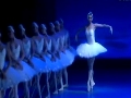 Polina的《天鹅湖》