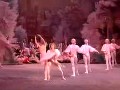 各版《胡桃夹子》视频集