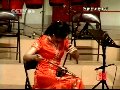 于红梅二胡独奏音乐会精选