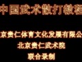 散打教程