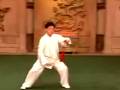 陈式太极单剑(陈正雷教学版)