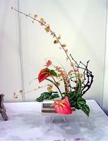 插花教学视频